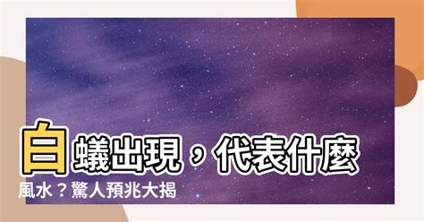 白蟻出現 代表 什麼 風水 香港八字测算